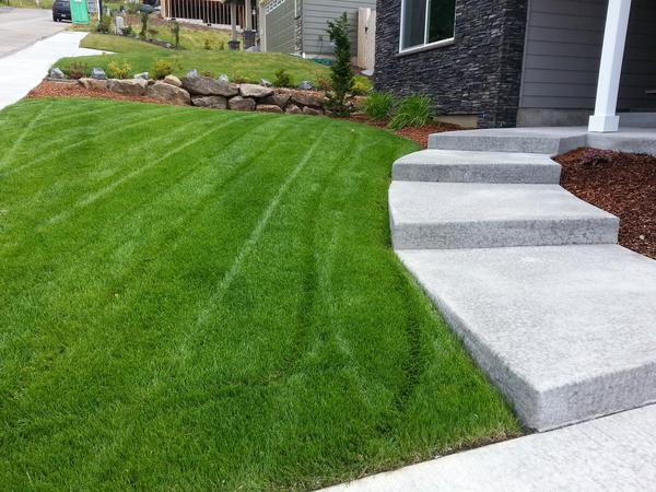 Lawn Mowing