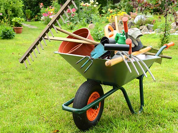 Yard Cleanup