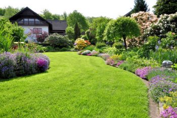 Lawn Maintenance In Camas